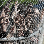 Walking Dead 402: Infected